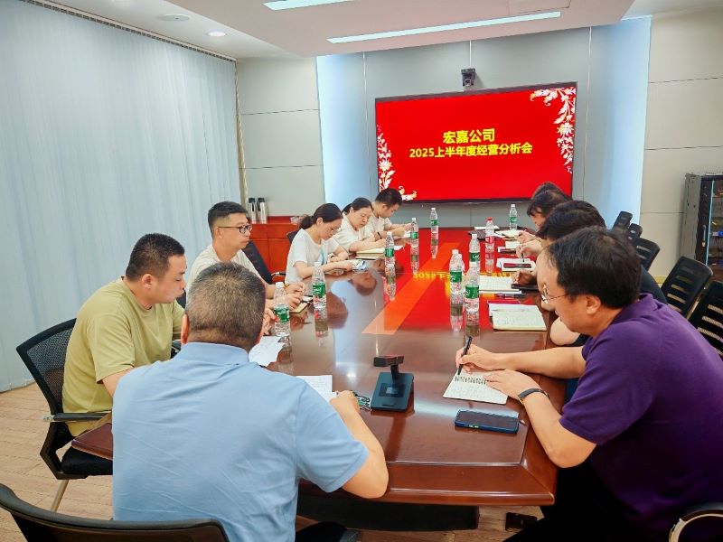 宏嘉公司召開 2025 上半年經營分析會 聚力攻堅啟新程